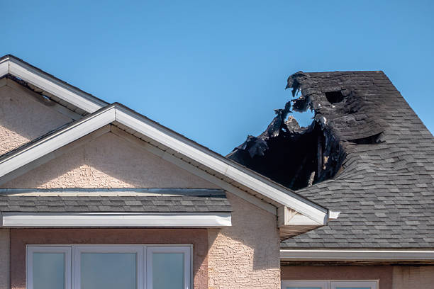Top rated local Odor Removal specialists in Jamison, PA